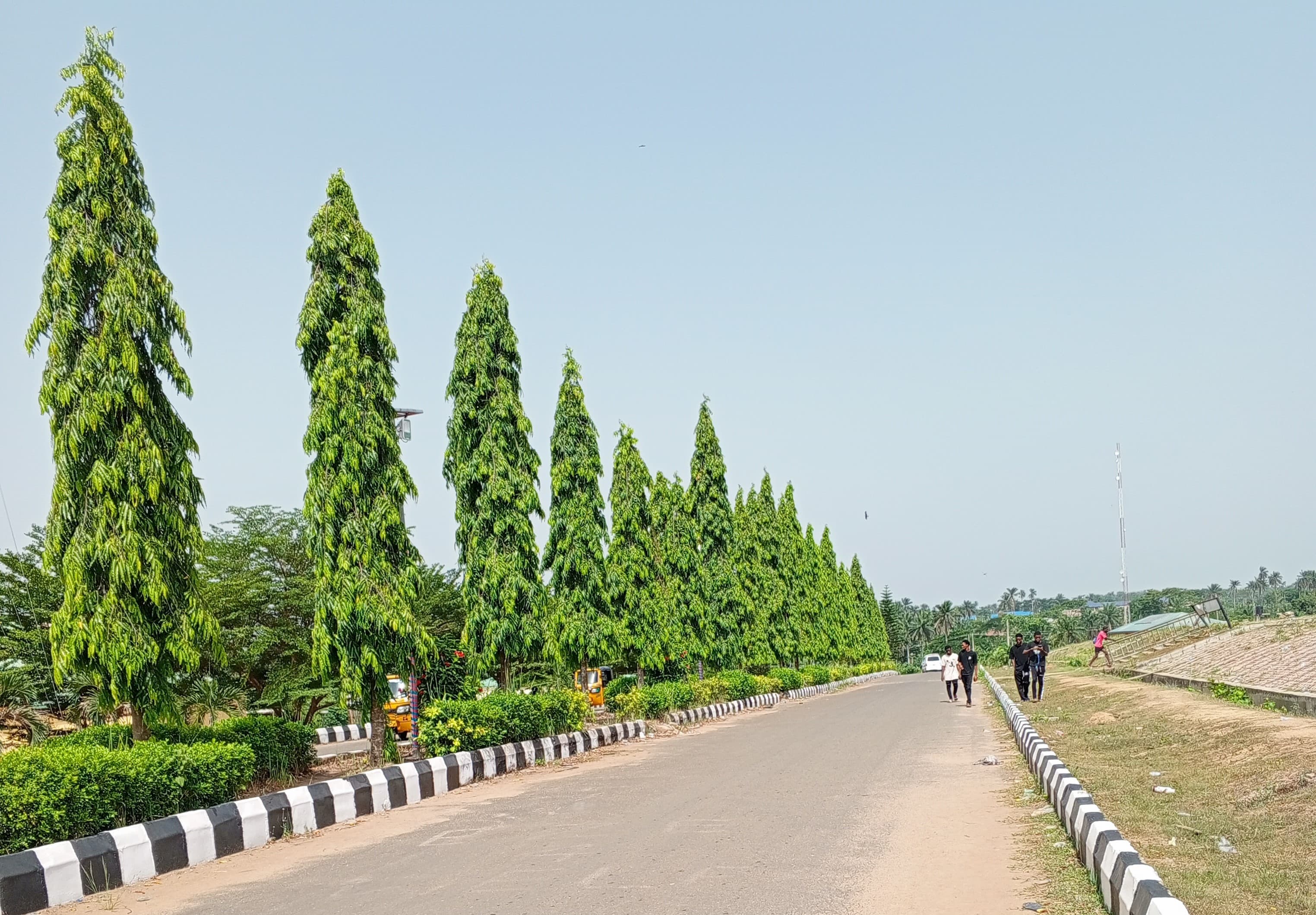 B.Sc Computer Science — Federal University Oye Ekiti (FUOYE) Certification